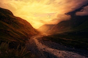 meditation for beginners
