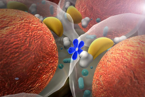 hormonal imbalances and laziness