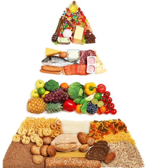 food pyramid